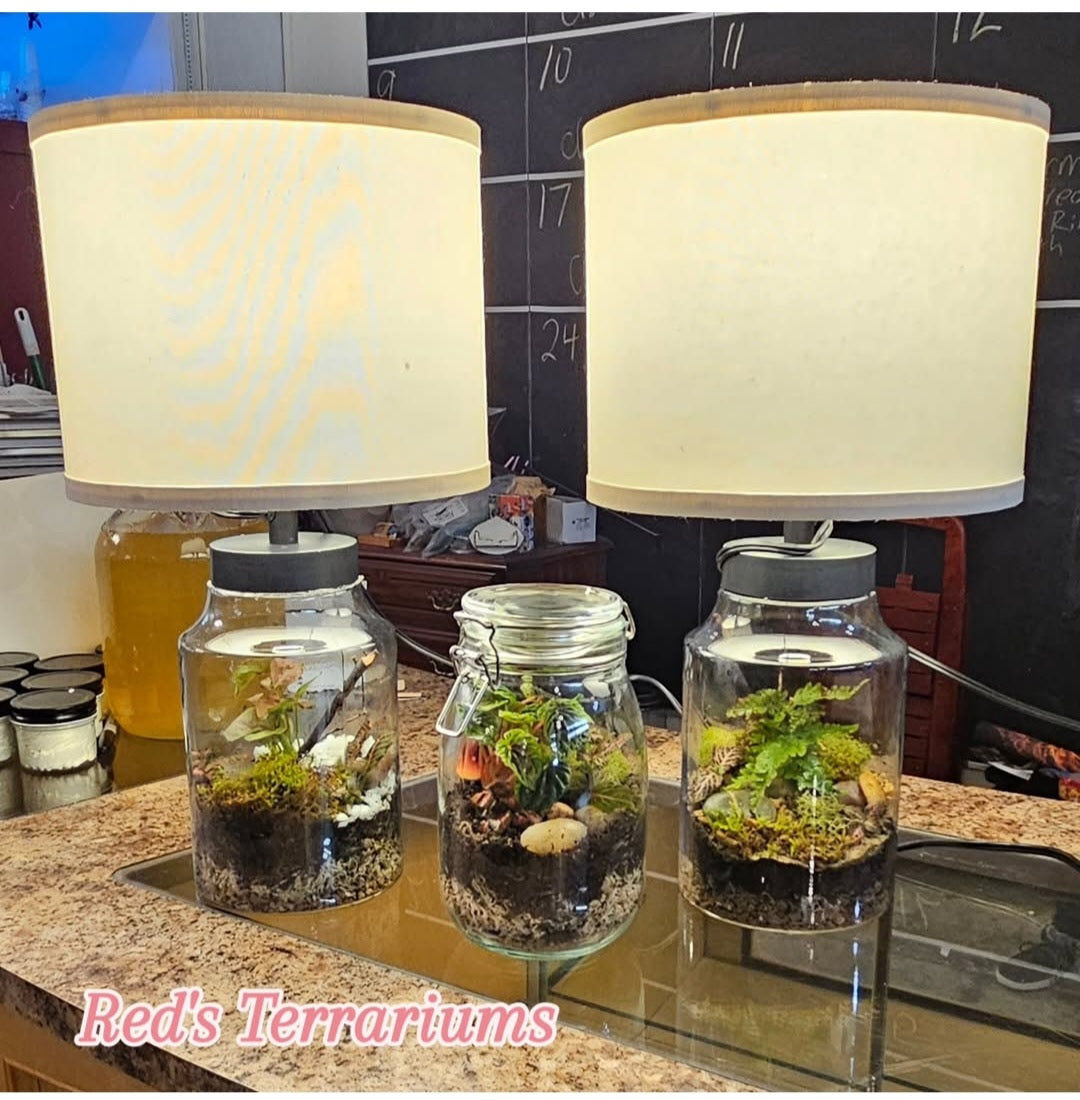 Red's Terrarium Workshop • May and June