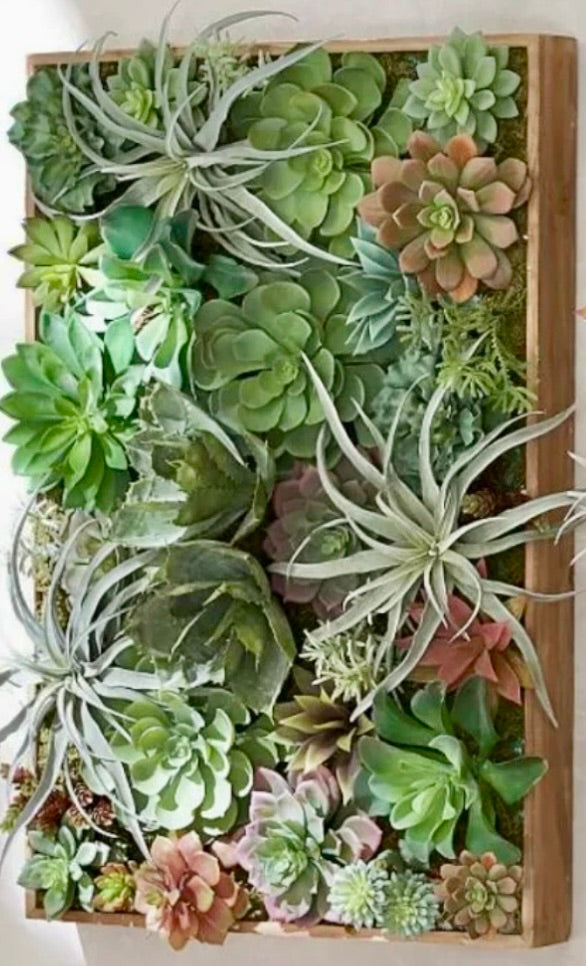 Succulent Wall Hanging, August 21st, 6-8 pm with Carmen’s Creations!