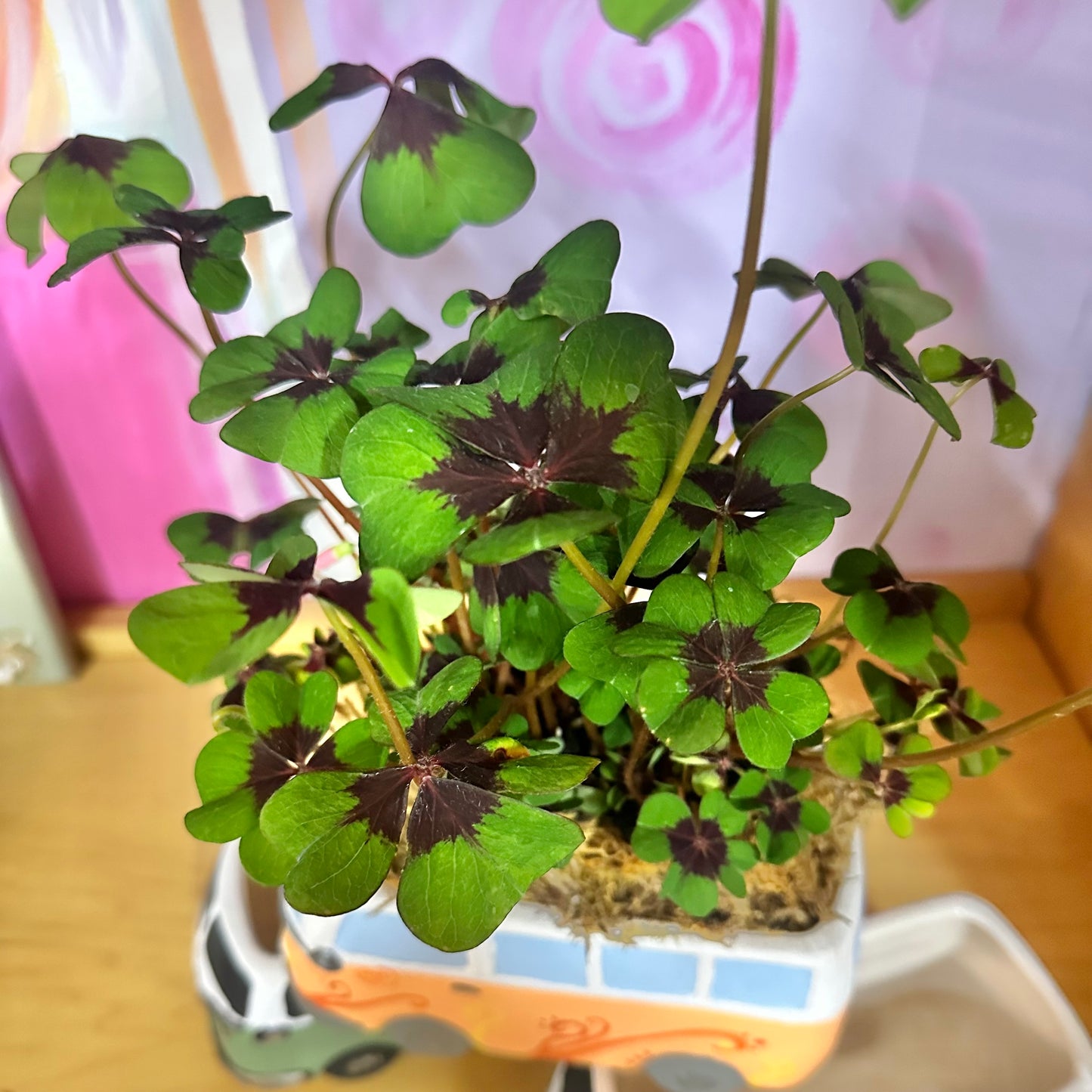 ☘️ Lucky VW Bus Planter Workshop 🚐