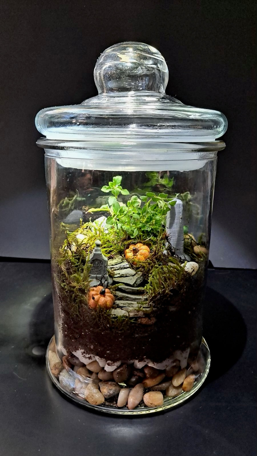 Red's Cemetery Terrarium Workshop • Saturday, September 27th • 1:00-3:00pm