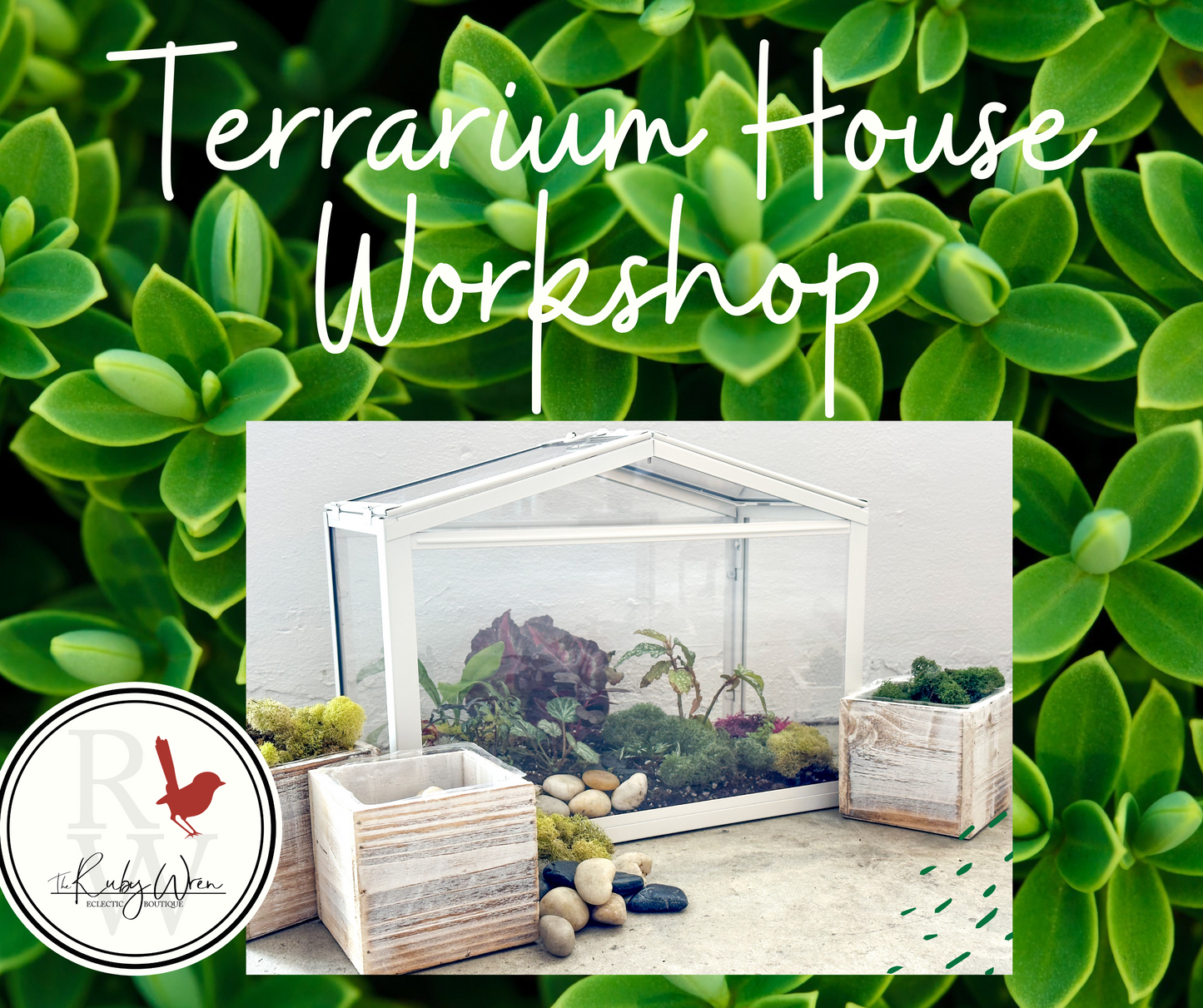 Terrarium Workshop Choose Your Size • Friday September 22 • 6-8pm