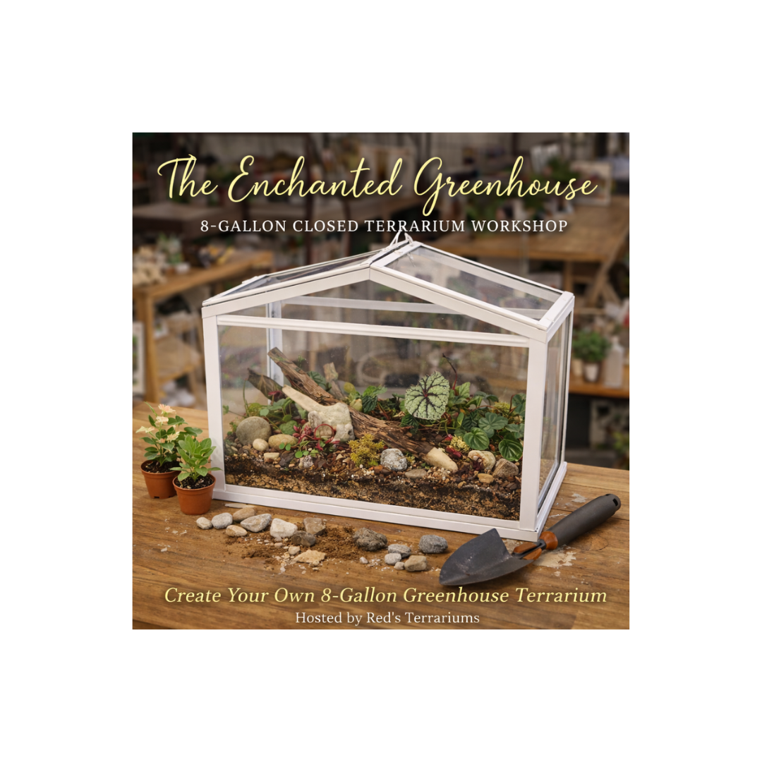 🌿 The Enchanted Greenhouse – 8-Gallon Closed Terrarium Workshop