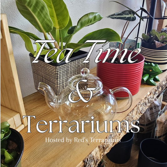 Red's Terrarium Tea Time Workshop
