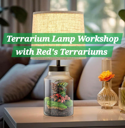 Red's Terrarium Lamp Workshop