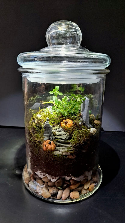 Red's Cemetery Terrarium Workshop • Saturday, September 27th • 1:00-3:00pm