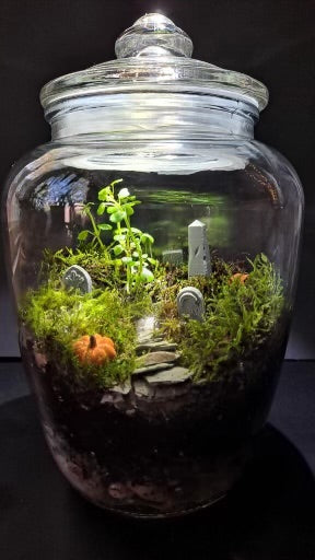 Red's Cemetery Terrarium Workshop • Saturday, September 27th • 1:00-3:00pm