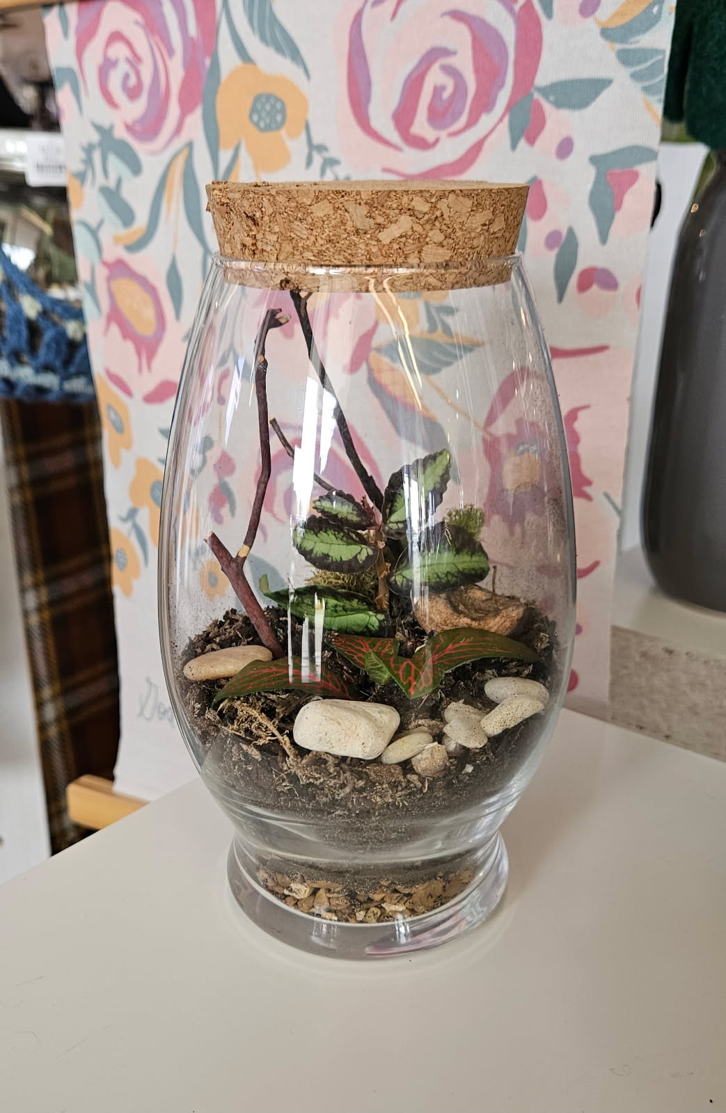 Double the Fun Terrariums